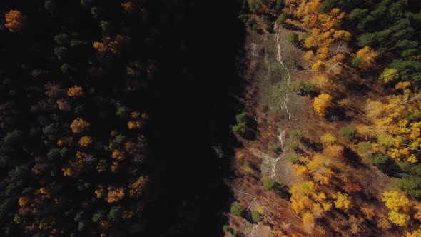 Aerial view of the Shiryaevsky ravine in the Samarskaya Luka national park. alt