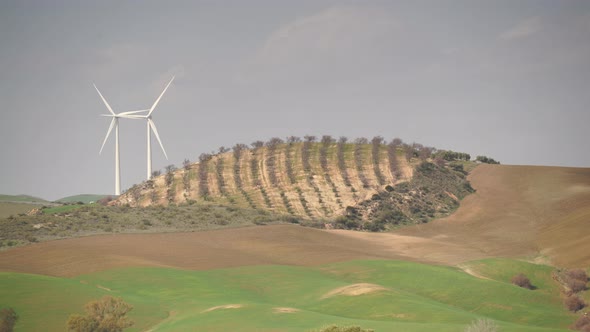 Wind Turbine Farm On Hill, Andalusia Spain
