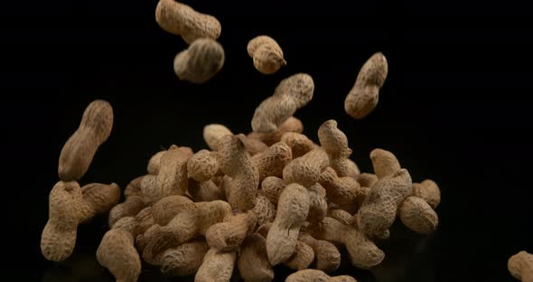 Peanuts, arachis hypogaea, Fruits falling against Black Background, Slow Motion 4K alt