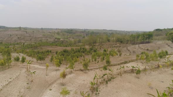 Agricultural Landscape in Indonesia alt
