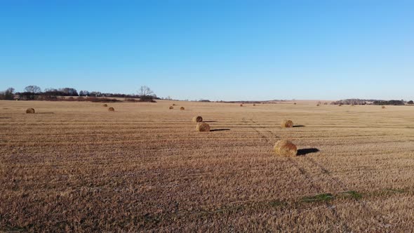 Rolls Of Straw In A Harvested Field, part 2