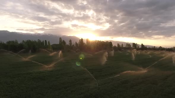 Agricultural Aerial Footage alt