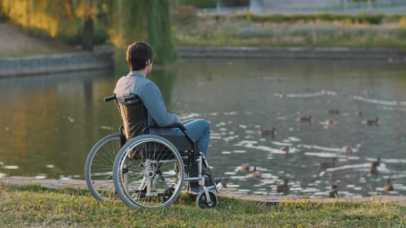 Handicapped Man on a Wheelchair Looks on Ducks alt
