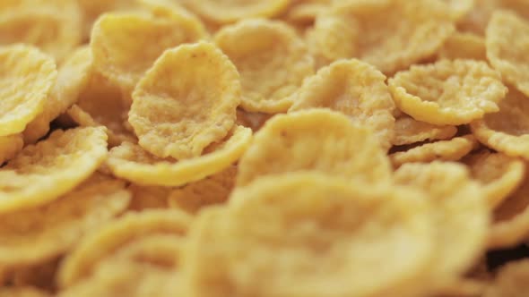 Group of cornflakes in rotation close up