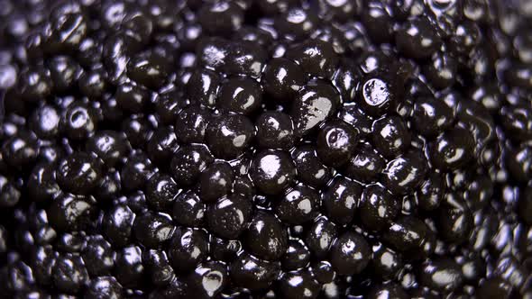 Background of Black Natural Caviar Close Up