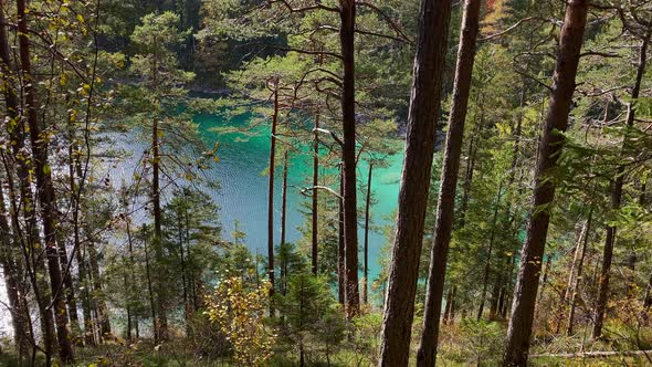 Forest with the beautiful Eibsee lake in Bavaria behind, with turquoise water, very close to the Zug alt