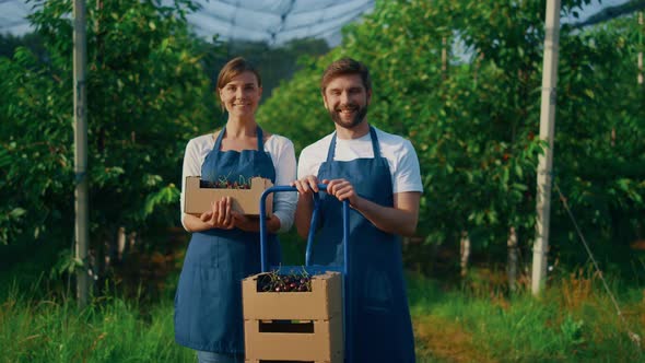 Entrepreneur Couple Holding Harvest Cherry Box in Modern Agriculture Plantation alt