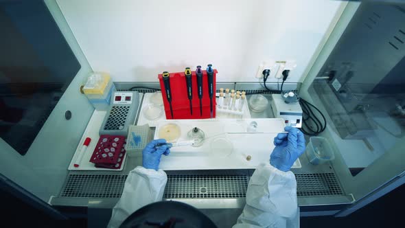 A Person Works with Laboratory Tubes on a Tray. alt