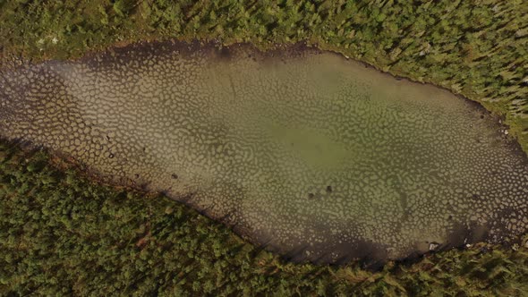 A Top View of Spotted Stagnant Lake in the Middle of Forest in the Khibiny