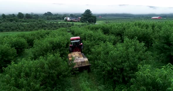 Aerial camera pulling away showing tractor and setting of orchard in the mountains with clouds. alt