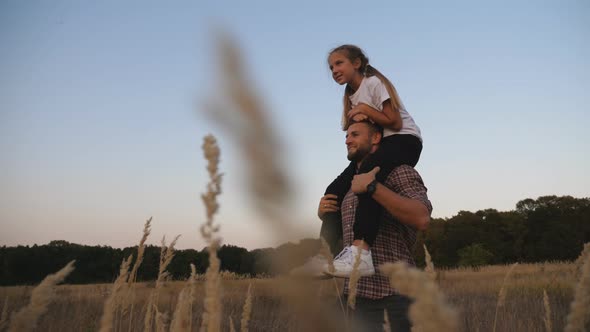 Young Father Walks with Cute Small Daughter Sitting on His Shoulders Through Meadow alt
