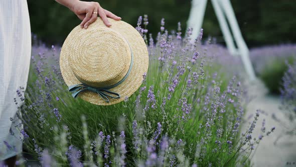 Young Woman's Hand Holds a Hat and Runs on Lavender Flowers Wearing a Light Summer Dress Back View