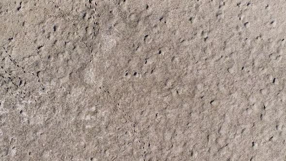 Vertical orientation video: Dried up lake. Cracked soil ground of dried lake or river alt