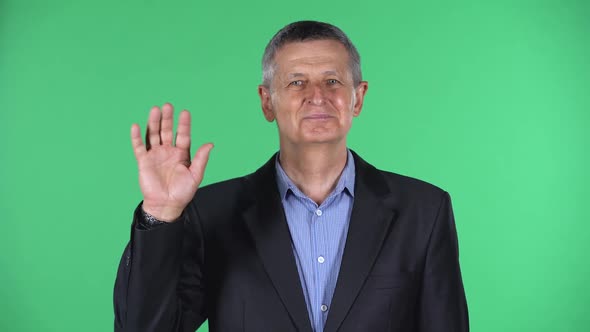 Portrait of Aged Man Waving Hand and Showing Gesture Come Here, Isolated Over Green Background alt