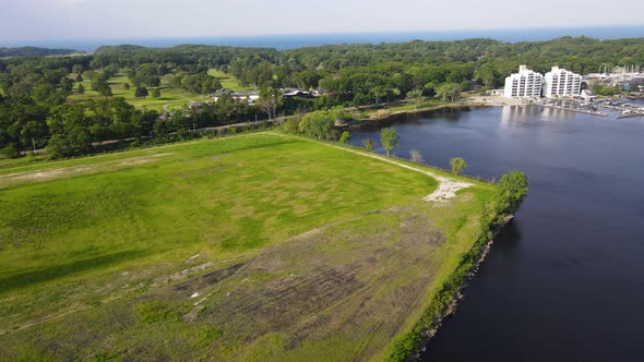 Overgrown plants taking back the grounds of the former Sappi paper mill. alt