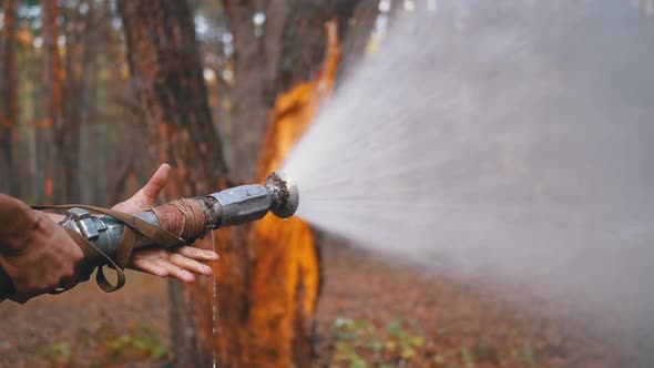 Men's Hands Hold a Fire Hose From Which Water Runs Under Pressure in Pine Forest alt