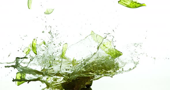 900072 Bottle of Beer Breaking and Splashing against White Background, Slow motion 4K alt