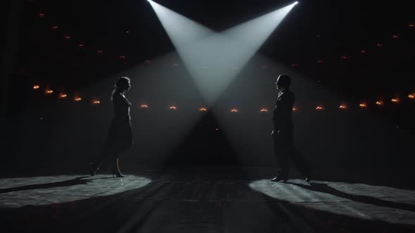 Attractive Couple of Ballroom Dancers Dancing Passionate Latin American Dance Cha Cha Cha alt