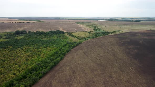 Wheat Fields Aerial View alt