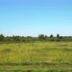 Moving along a wild field with a low trees - VideoHive Item for Sale