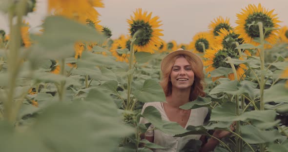 Beautiful Woman is Walking on a Sunflower Field