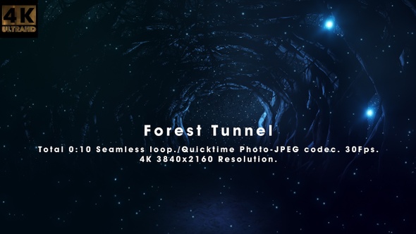Forest Tunnel