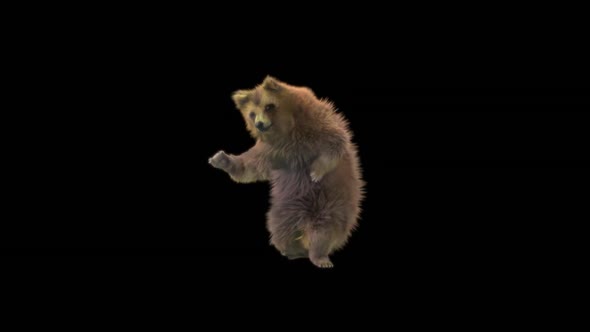132 Bear Dancing HD alt