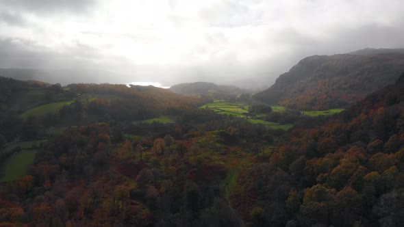 Aerial footage from Yew Tree Tarn in Cumbria heading towards Coniston Water over woodland in its aut alt