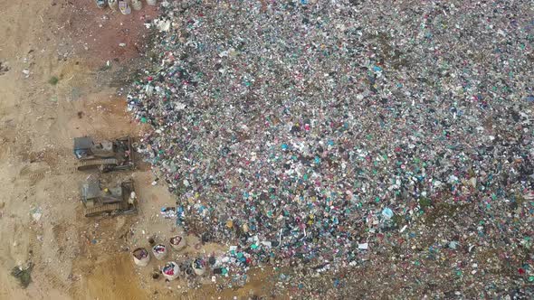 Drone shot white egret birds looking for food beside bulldozer alt