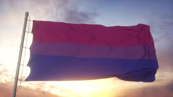 Bisexual Pride Flag Waving in the Wind Sky and Sun Background alt