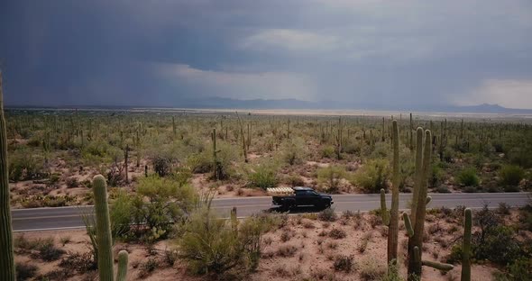 Drone Slowly Flying Above Epic Cactus Desert Field, Black Pickup Car Drives By Along the Road alt