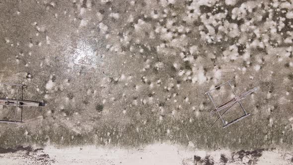 Shore of Zanzibar Island Tanzania at Low Tide alt