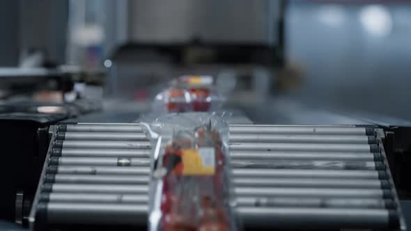 Tomato Packs Machine Conveyor Moving Boxes Automatically in Manufacture Closeup alt