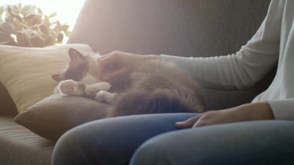 Woman cuddling her cat