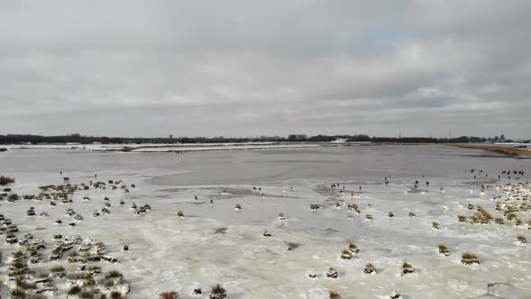 Panorama Of A Frozen Lake With Growing Grass On Countryside Of Crezeepolder Near Village Of Ridderke alt