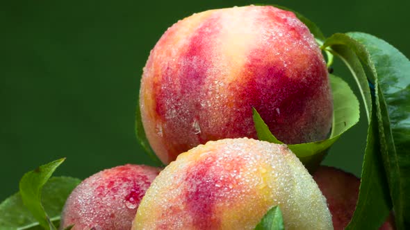 Four Large Peaches In A Cup