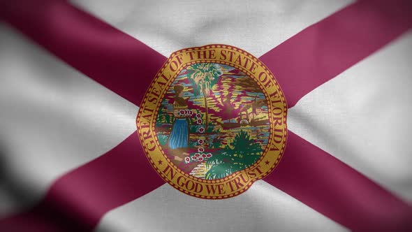 Florida State Flag Front HD alt