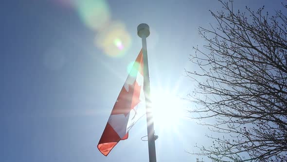 Canadian flag blowing in the breeze against the sun. alt