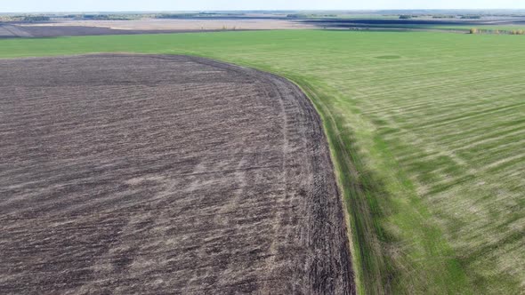 Flying Over an Agricultural Field is a Beautiful View of an Endless Agricultural Field