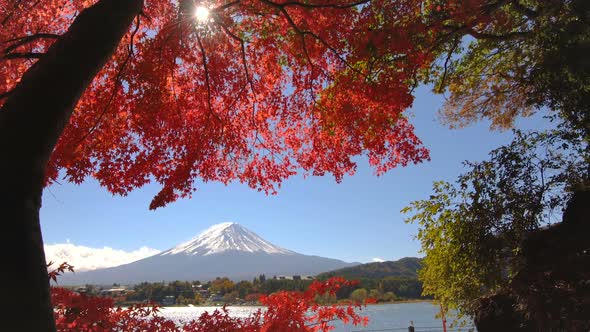 Mount Fuji in Autumn Color, Japan alt