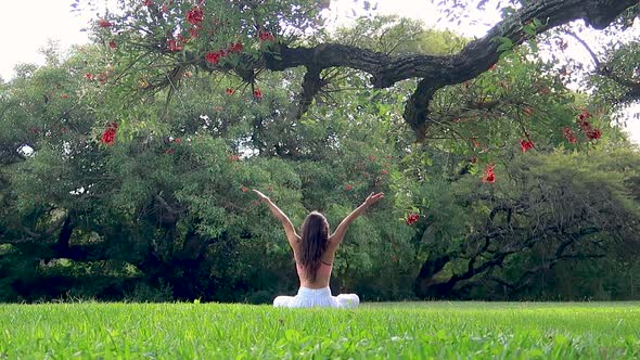 Rear View of Young Woman Performing Asanas Preparing for Meditation Under a Tree in a Green Park