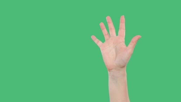 Cropped Shot of Person Raising Up Hand on Green Background alt