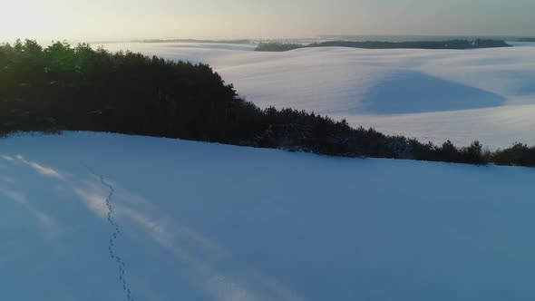 Human Footprints Intersect with Ski Footprints in Snowcovered Fields