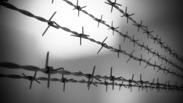 A horizontal motion animation of isolated sharp barbed wire. Loopable. HD alt