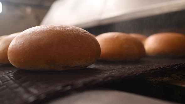 Bread Comes Out of the Oven in Closeup on a Conveyor Belt and is Sprayed with Water to Add Gloss and alt