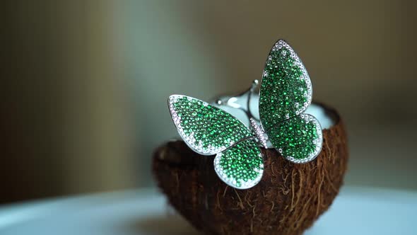 Precious Butterfly Brooch