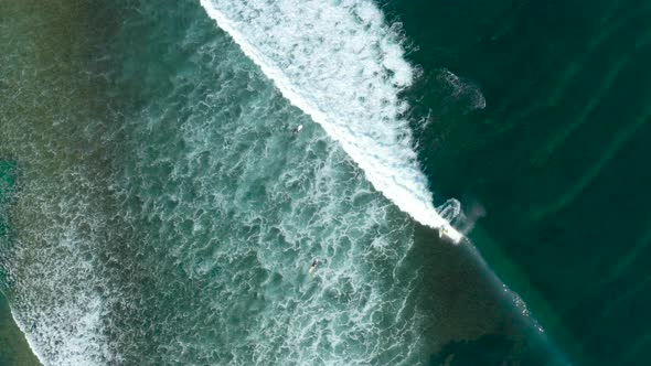 Surfer Riding a Wave