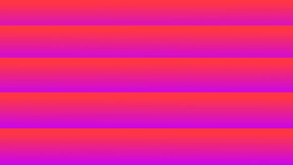 Horizontal Lines Geometry Flow Animation, Purple Pink