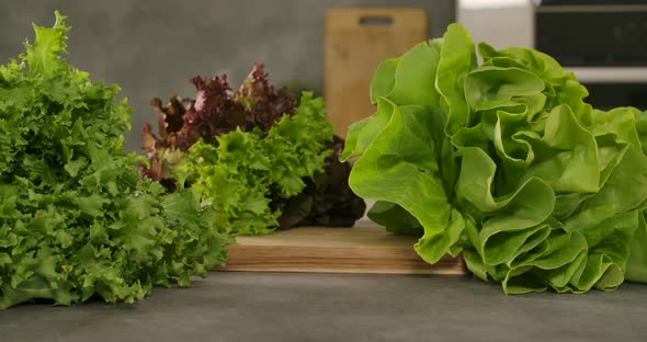 Salad on the Table alt