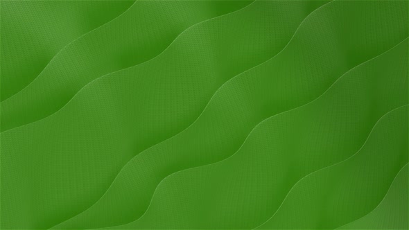 Corporate Wavy Background Green Carbon 4K alt